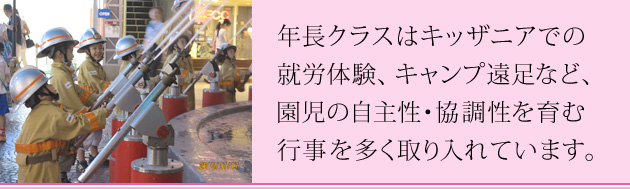 NNX̉